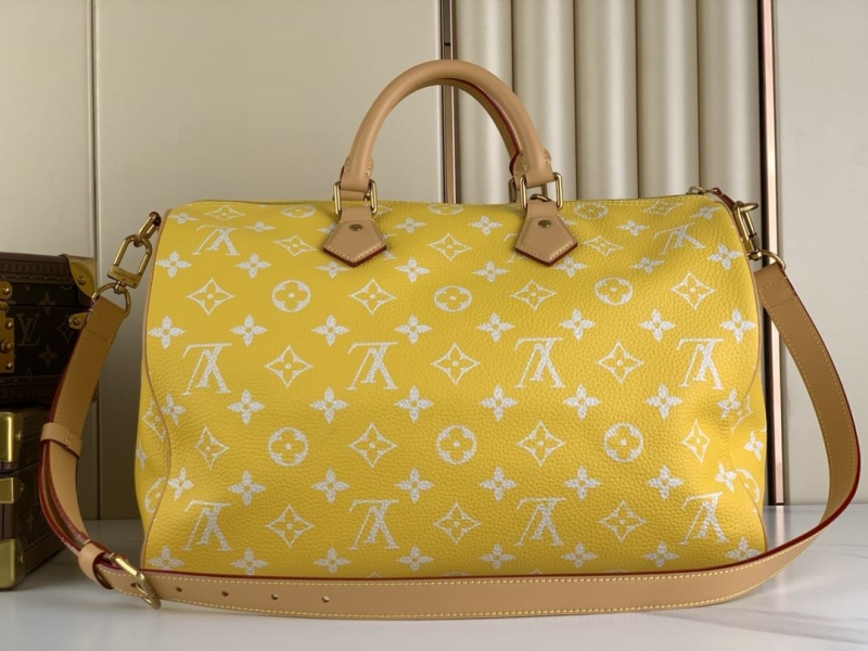 LV Travel Bags